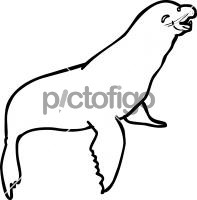 Sea LionFreehand Image