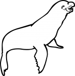 Sea Lion