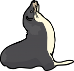 Sea Lion