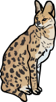 Serval freehand drawings