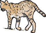 Serval