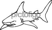 SharkFreehand Image