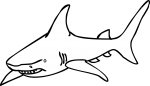 Shark freehand drawings