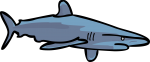 Shark