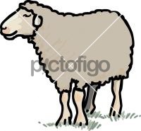 SheepFreehand Image