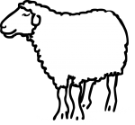 Sheep freehand drawings