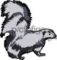 SkunkFreehand Image