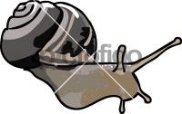 SnailFreehand Image