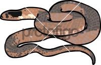 SnakeFreehand Image