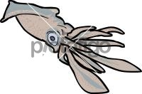 SquidFreehand Image