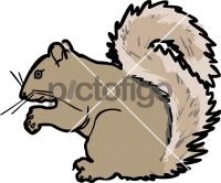 SquirrelFreehand Image