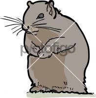 SquirrelFreehand Image