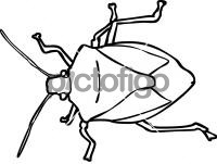 Stinkbug