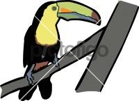 Keel Billed ToucanFreehand Image