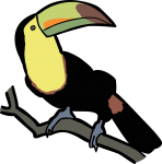 Keel Billed Toucan