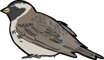 Lapland Longspur