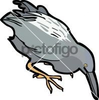 Lava Heron