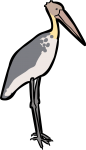 Lesser Adjutant