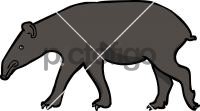 TapirFreehand Image