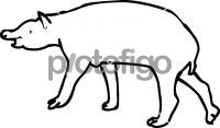 TapirFreehand Image