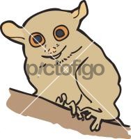 Tarsier