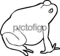 ToadFreehand Image
