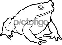 ToadFreehand Image