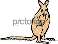 WallabyFreehand Image