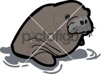 WalrusFreehand Image