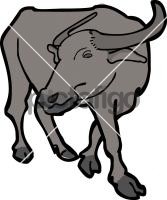 Water BuffaloFreehand Image