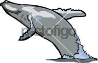 WhaleFreehand Image