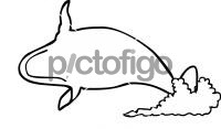 WhaleFreehand Image