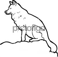 WolfFreehand Image