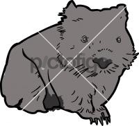 Wombat