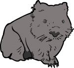 Wombat freehand drawings