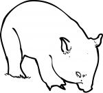 Wombat freehand drawings