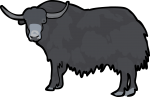 Yak