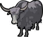 Yak