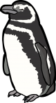 Magellanic Penguin freehand drawings