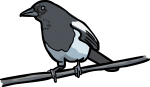 Magpie