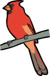 Northern Cardinal