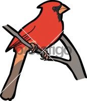 Northern CardinalFreehand Image