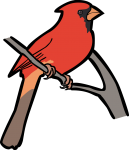 Northern Cardinal