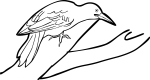 Okinawa Woodpecker freehand drawings