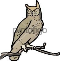 OwlFreehand Image