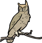 Owl