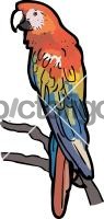 ParrotFreehand Image