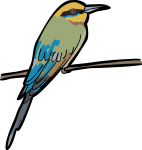 Rainbow Bee Eater freehand drawings