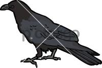 RavenFreehand Image