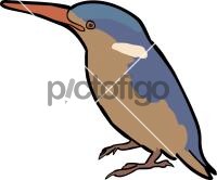 Sao Tome Kingfisher